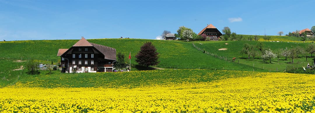 Burgdorf/Emmental/Oberaargau