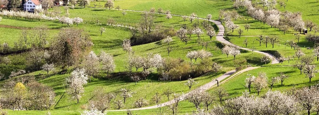 Basel Country
